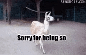 1339268-20140201-3NdmZK.gif
