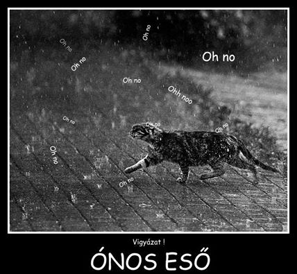 tumblr_n0do7peWb61sof8dlo1_500.jpg
