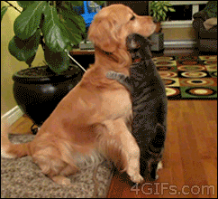 1396640741183.gif