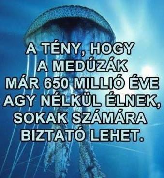 1449293-20140504-izIUjs.jpg