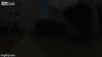 gifs_02.gif