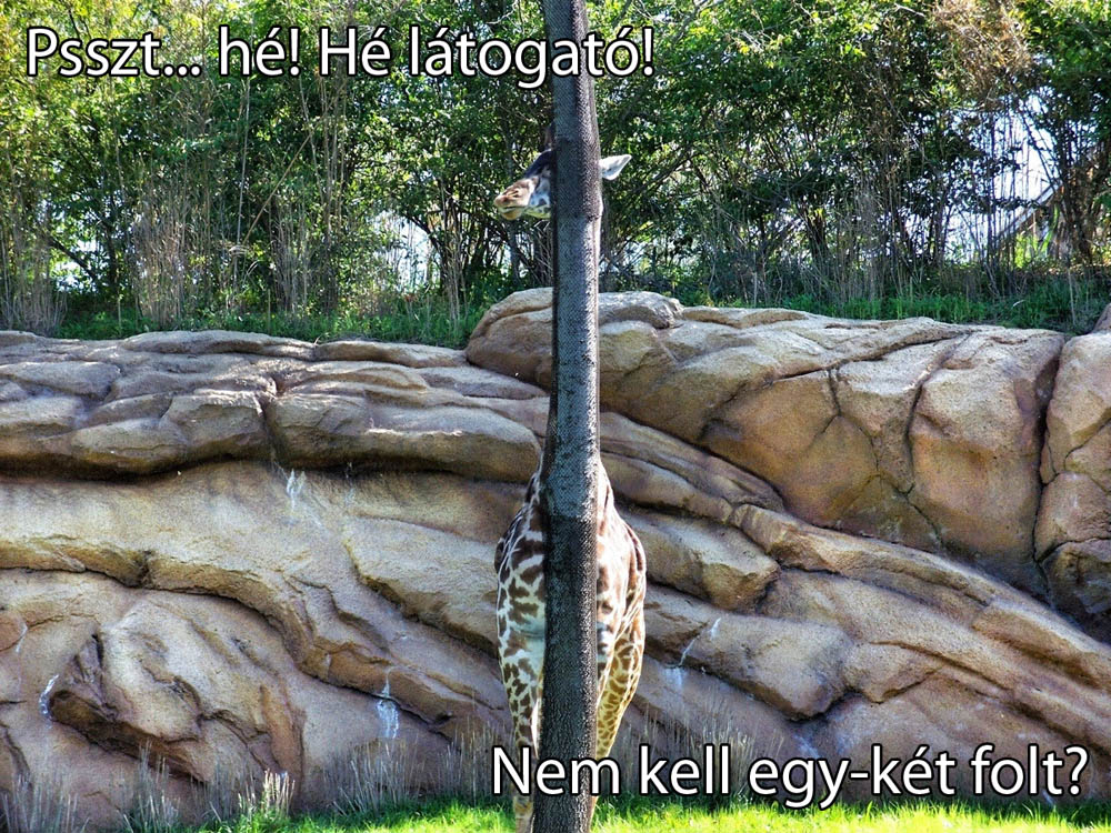 tumblr_n8cw81E5CJ1qdkfsgo1_1280.jpg