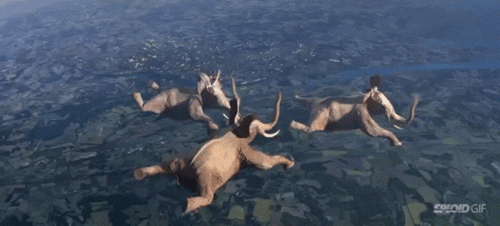 1546114-20140803-umaY0a.gif