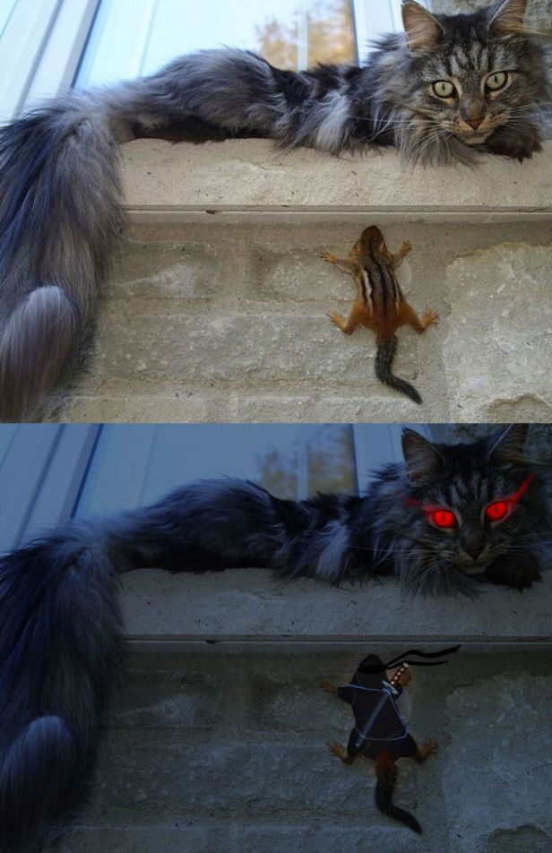 acid_picdump_40.jpg