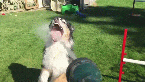 1617551-20141009-YqSs5l.gif