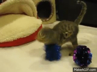 1649910-20141109-35AUBB.gif