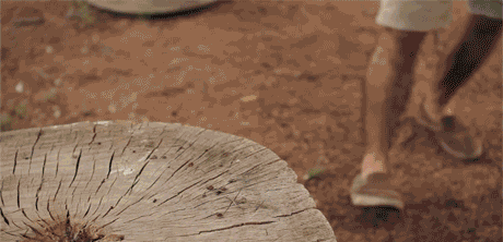 1649911-20141109-zQGgNu.gif
