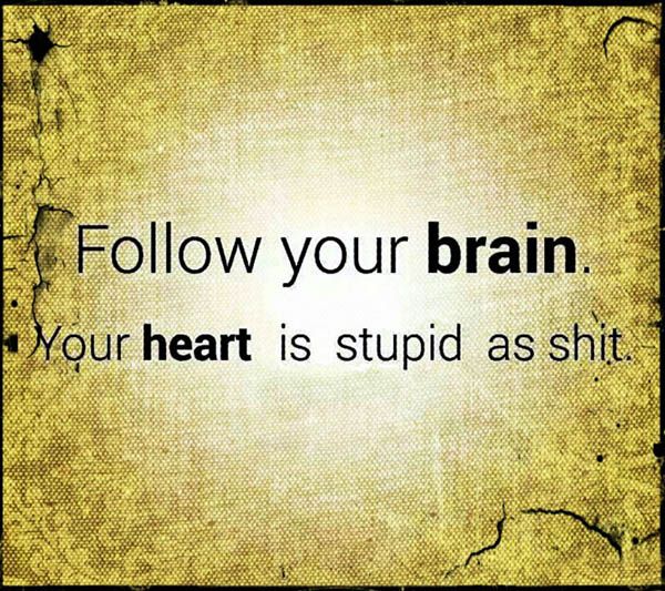 funny-pictures-follow-your-brain-heart-stupid.jpg