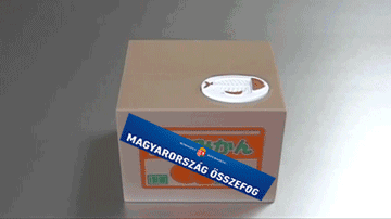 matolcsy1-animated.gif