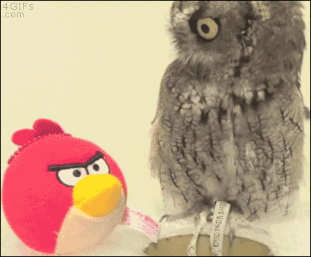 1677745-20141211-pLh0k2.gif