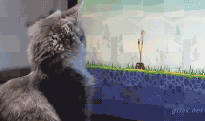 gifs_14.gif