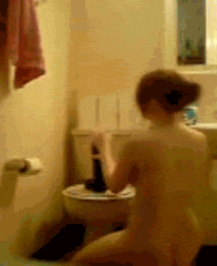 97697.gif