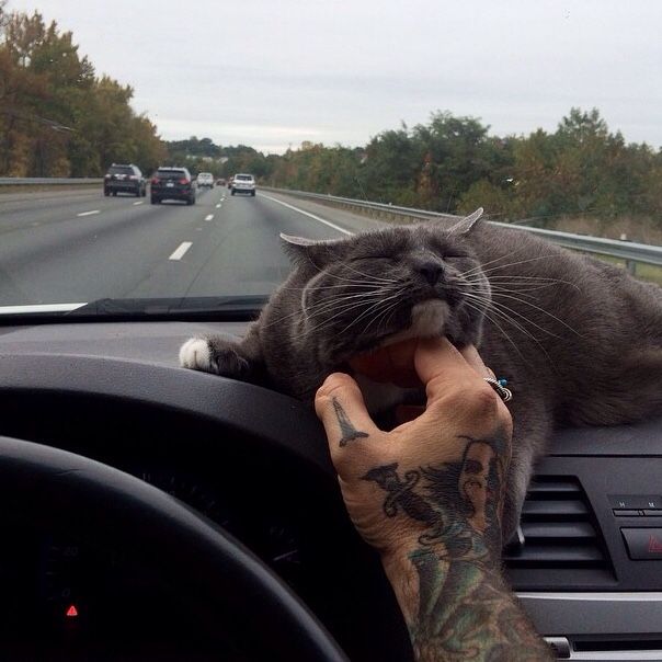 acid_picdump_131.jpg