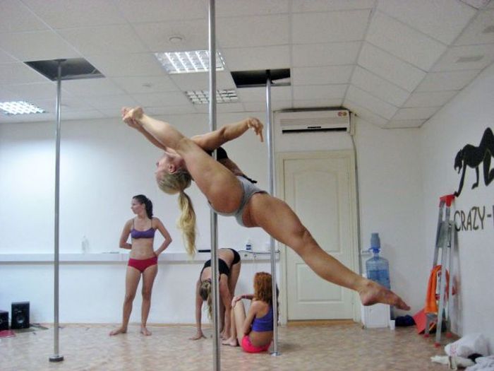 fun_pics_for_adults_05.jpg