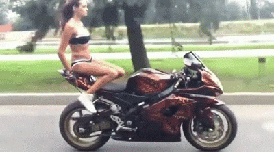 gifs_15.gif