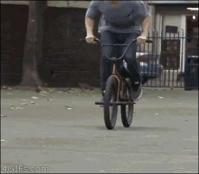 gifs_16.gif