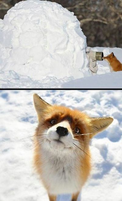 lacid_picdump_40.jpg