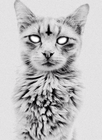 1867903-20150605-UZ8Nf3.gif