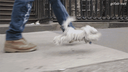 1898615-20150704-5ZYb88.gif