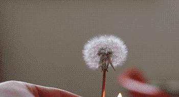1898640-20150704-FL8SxW.gif