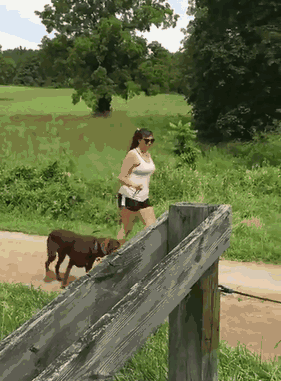 1968662-20150908-TpysZB.gif