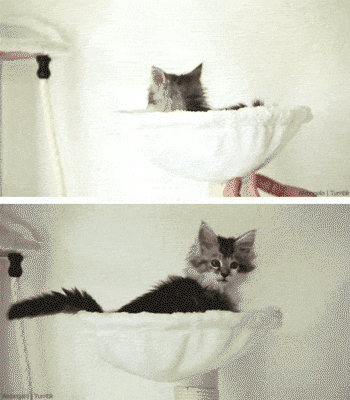1997567-20151008-9eChB0.gif