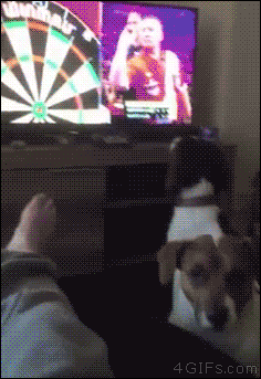 2116073-20160130-M8PL0E.gif