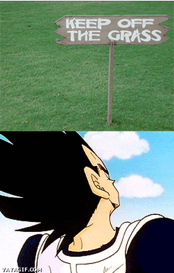 2116137-20160130-rrAnml.gif
