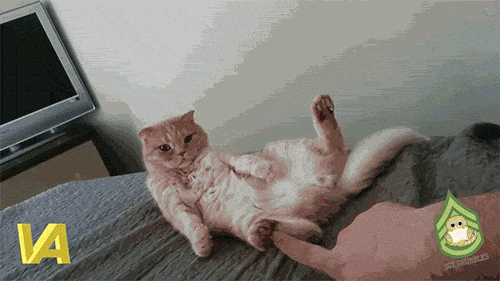 gifs_04.gif