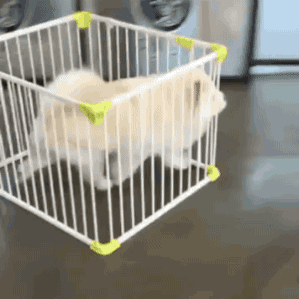 tumblr_o67vojaMlX1uluepno1_400.gif