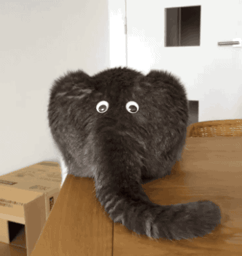 tumblr_o6gi6gPJX21uluepno1_400.gif
