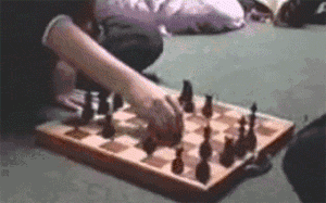 2243383-20160604-snfFI6.gif