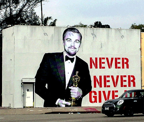 if-leo-can-make-it-through-22-oscars-you-can-make-it-through-today.gif