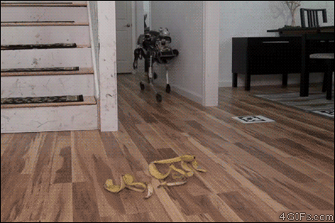 tumblr_o9dxkw3trL1tlb56zo1_500.gif