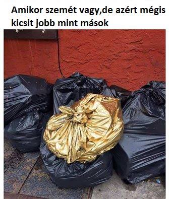 2295033-20160807-TzgpIb.jpg