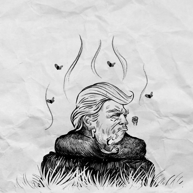 2353089-20161008-qgaZKg.gif